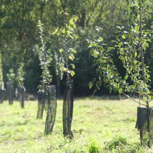 Inauguration du verger de Ceyssat